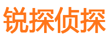 民权市侦探调查公司